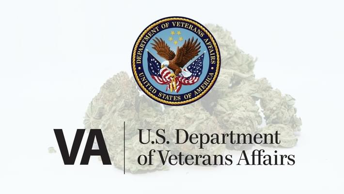VA chief: Medical marijuana could help vets