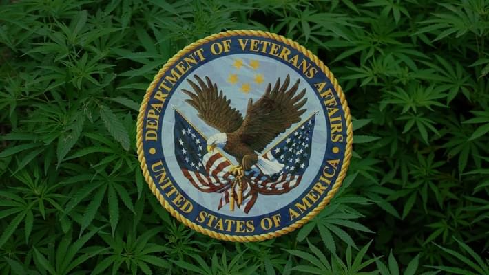 VA Will Explore Medical Marijuana, But Only If Federal Law Changes, Secretary Says