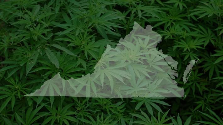 Virginia legislators consider marijuana-related bills