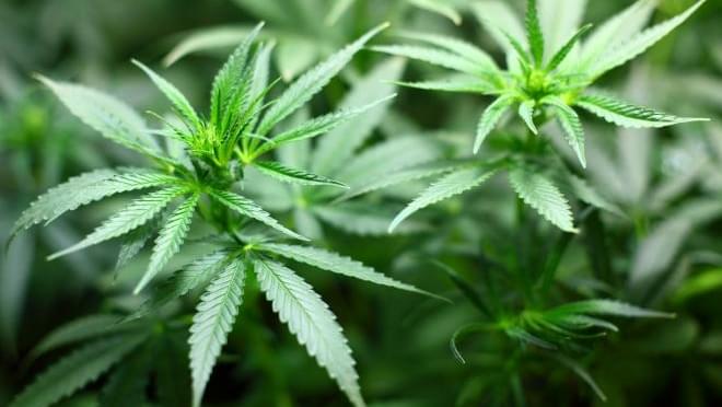 VT marijuana legalization clears 2nd hurdle
