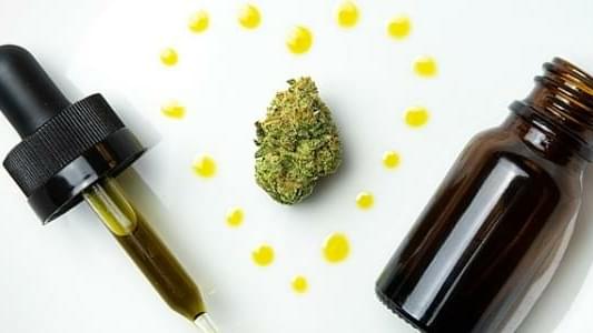 What are Cannabis Tinctures and How to Make Them