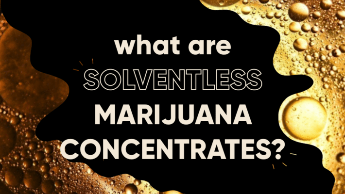 Solventless Concentrates