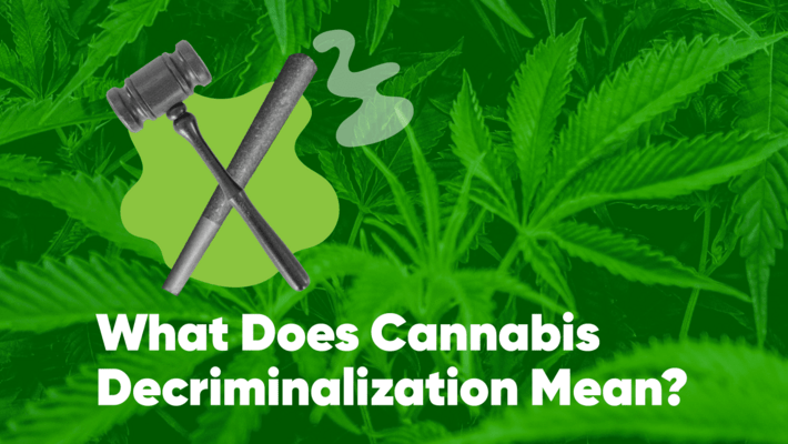 What Does Cannabis Decriminalization Mean? 