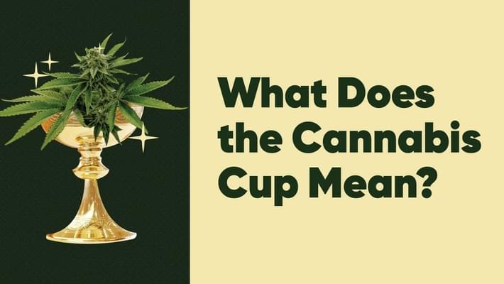 What Does the Cannabis Cup Mean?