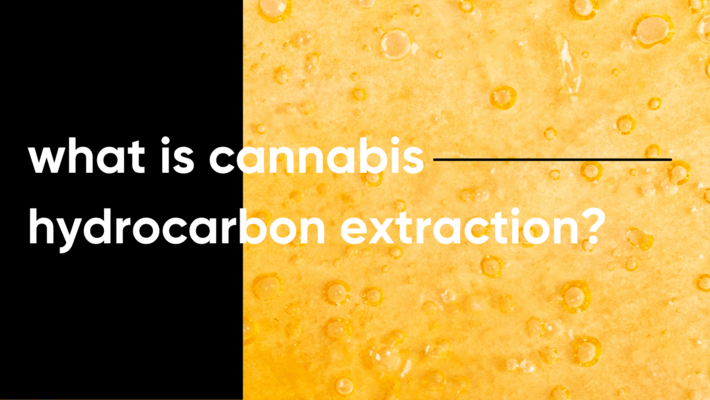 What is Cannabis Hydrocarbon Extraction?