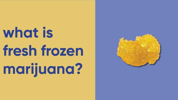 What is Fresh Frozen Marijuana?