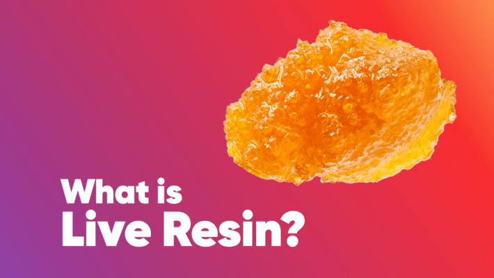 What is Live Resin? Freezing in the Flavor