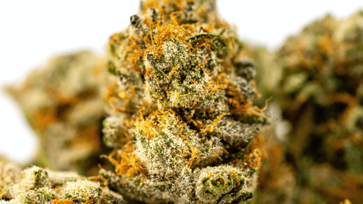 What is Loud Weed? How to Tell if your Weed is Loud