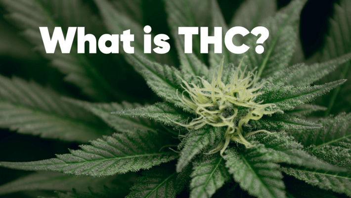 What is THC?