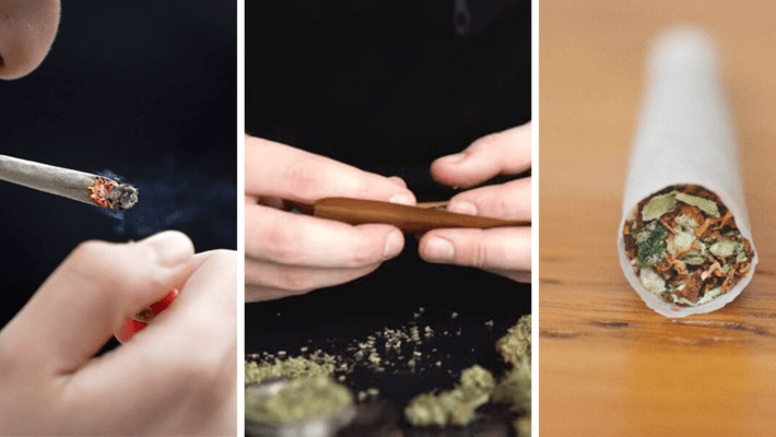 The Difference Between a Spliff, Blunt, and Joint