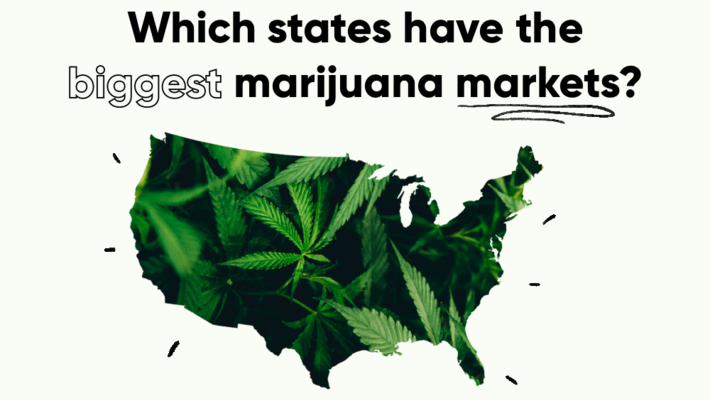 Which States Have the Biggest Marijuana Markets?