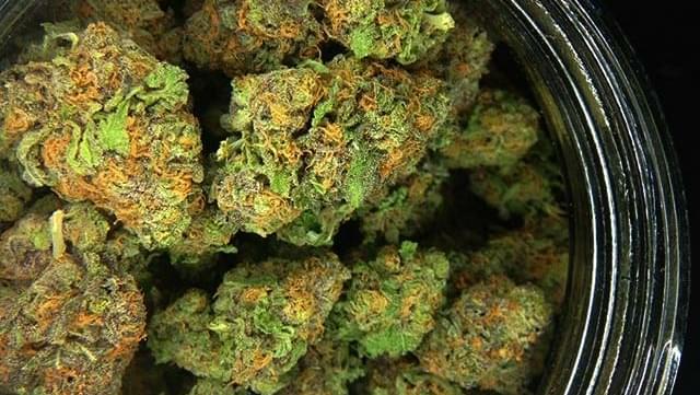 Will Minnesota's restrictive medical marijuana program loosen up?