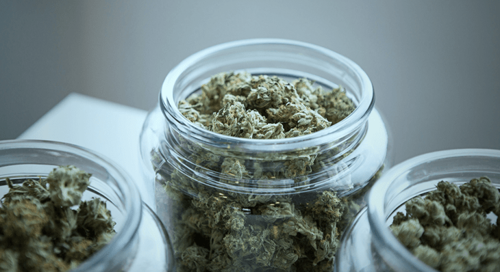 10 Best Marijuana Strains of All Time