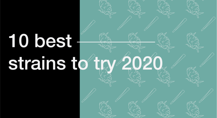 10 Best Strains to Try in 2020