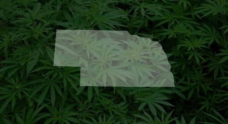 130,000 signatures needed to put medical marijuana on 2020 ballot