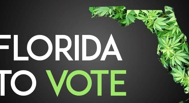 Amendment 2 would expand marijuana use to 6 other debilitating conditions