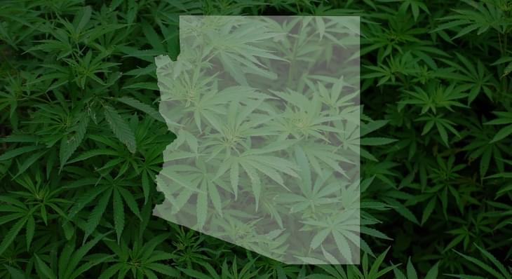 Arizonans Consumed Record 43 Tons of Cannabis in 2017: 50 Percent Higher Than '16