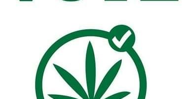 California Law for Better Dispensary Licensing & Regulation Falls Apart for 2012 Vote