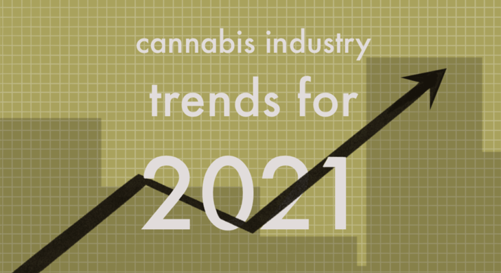 Cannabis Industry Trends to Look Out for in 2021