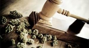 Colorado legalizes Recreation Marijuana with Amendment #64
