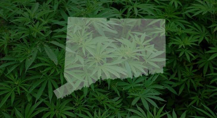 Connecticut Democrats Push Marijuana Legalization and Student Debt Assistance