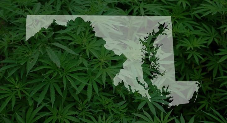 DC scales back punishment for smoking marijuana in public