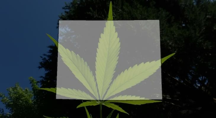 Denver's Social Pot Use Program Could Get Extended, Updated