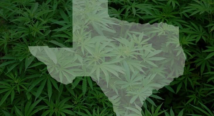 Difficulty Arises In Receiving Prescriptions For Medical Marijuana In North Texas