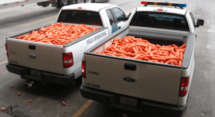 Drug smugglers try to hide 2,500 pounds of marijuana in carrot shipment