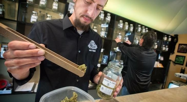 Feds nearing a decision on whether pot has medical potential