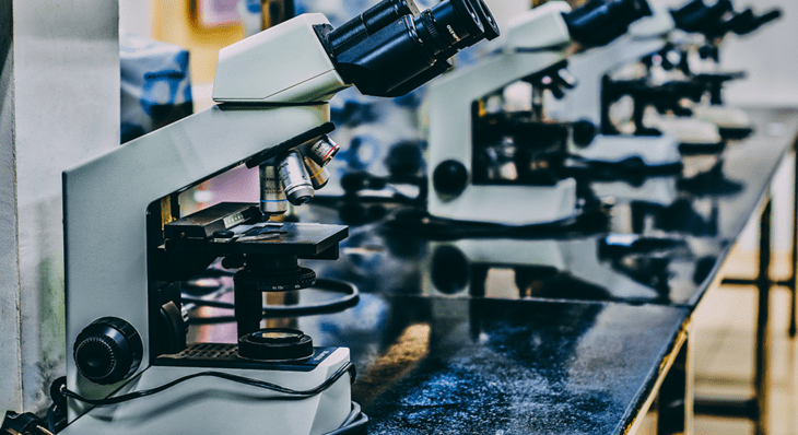 How Does Cannabis Research Work?