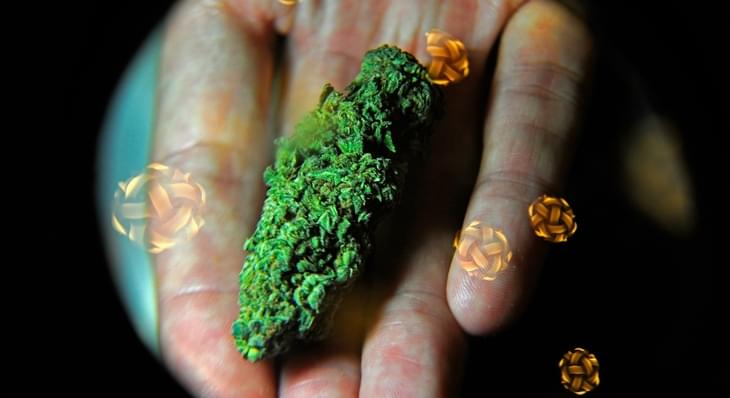Illinois Gov. Bruce Rauner drops opposition to expand state medical marijuana access.
