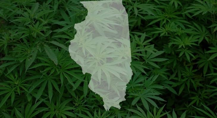 Illinois lawmakers vote to let kids take medical marijuana in school
