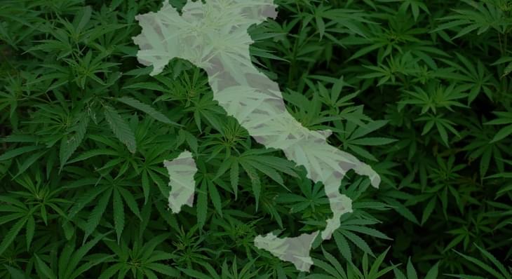 In Italy, the army provides medical marijuana. And some say that’s a problem.