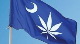 Joint Committee Discussing Legalizing Marijuana in SC