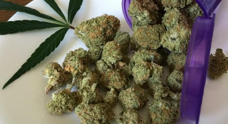 Kansas' senators should support bill for medical marijuana research