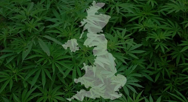 LEGAL MARIJUANA: U.K. APPROVES CANNABIS FOR MEDICAL USE