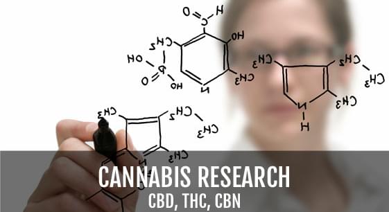 Local team develops strain of THC-free marijuana