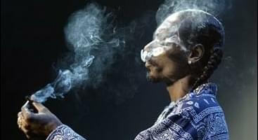 Marijuana Found on Snoop Dogg's Tour Bus
