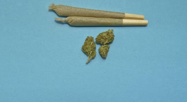 Marijuana growers, manufacturers have yet to get the green light from L.A.