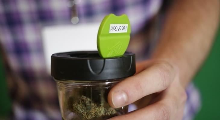Marijuana Is Not, Repeat Not, a Gateway Drug