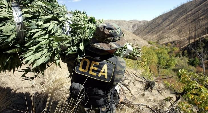 Marijuana Reform Activists Push for Change with DEA Head