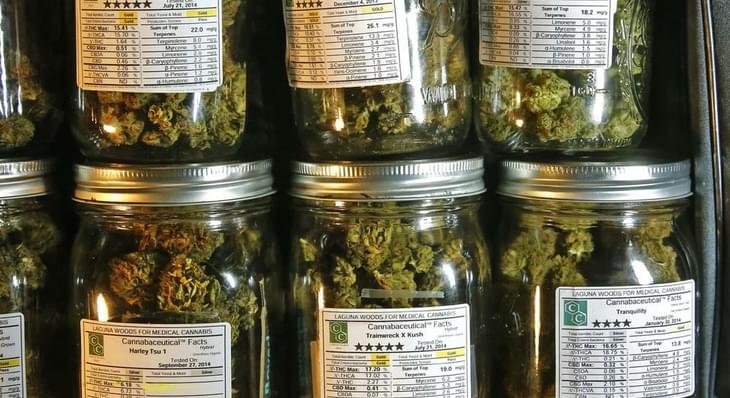 Maryland delays medical marijuana legalization