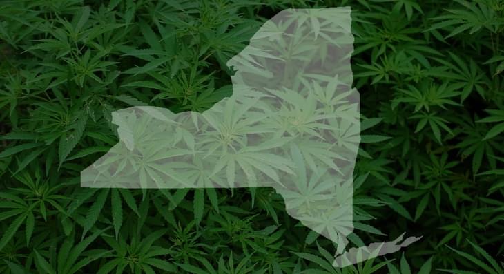 Medical marijuana dispensary opening in Newburgh