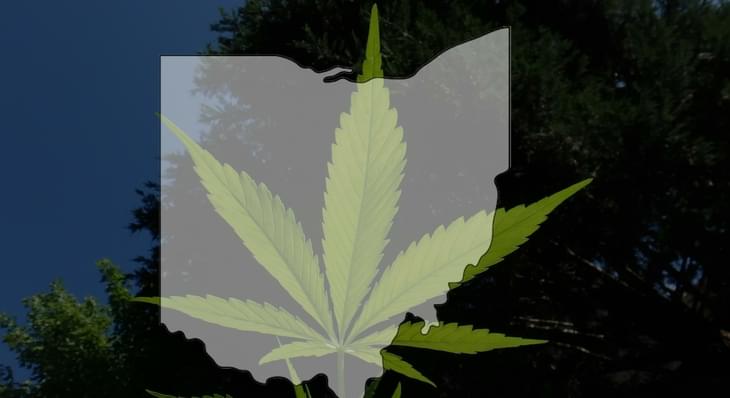 Medical marijuana is being harvested in Ohio now but it won't be available in stores for a while