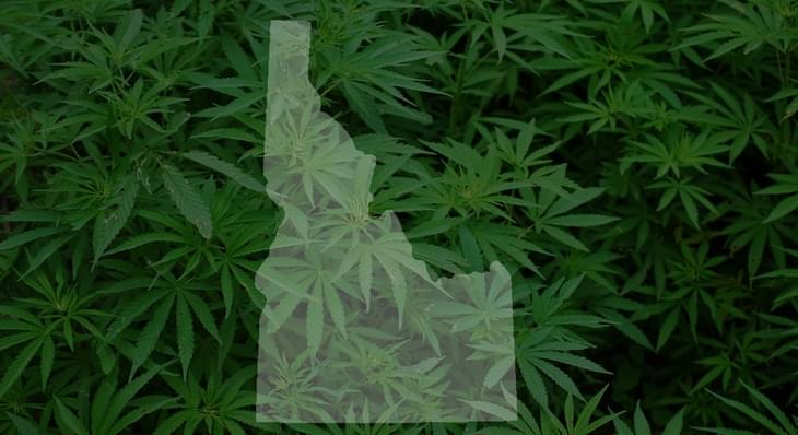 Medical marijuana worth a look in Idaho