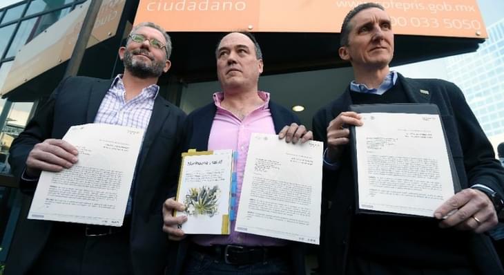 Mexico issues first permit to grow and use marijuana