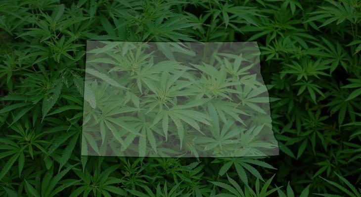 ND recreational marijuana group submits signatures hours ahead of deadline