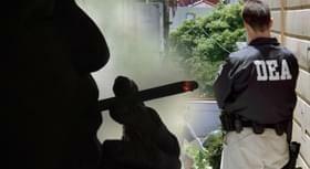 New Report Blasts DEA For Spending 4 Decades Obstructing Marijuana Science