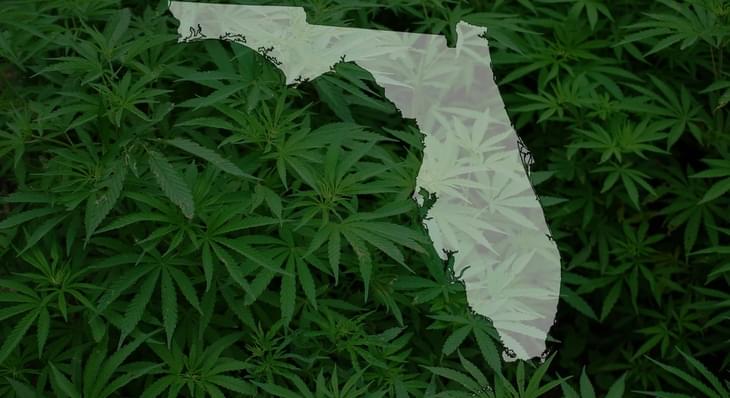 Newly-filed bill would legalize recreational marijuana in Florida